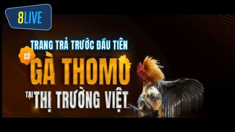 Anh em cần thường xuyên cập nhật các thông tin về các trận đấu và luật chơi