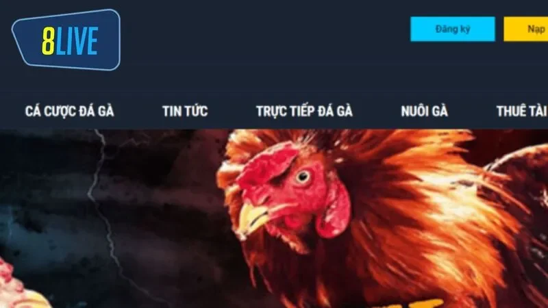 Anh em phải tham gia nền tảng và đăng ký tài khoản cược đá gà