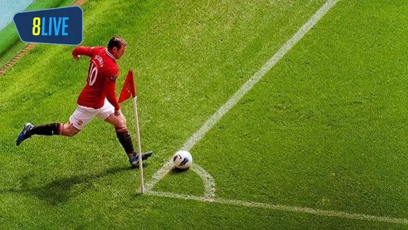 Các ảnh hưởng có thể xảy ra với kèo